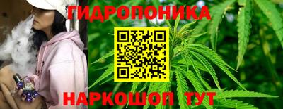 прущие грибы Нальчик