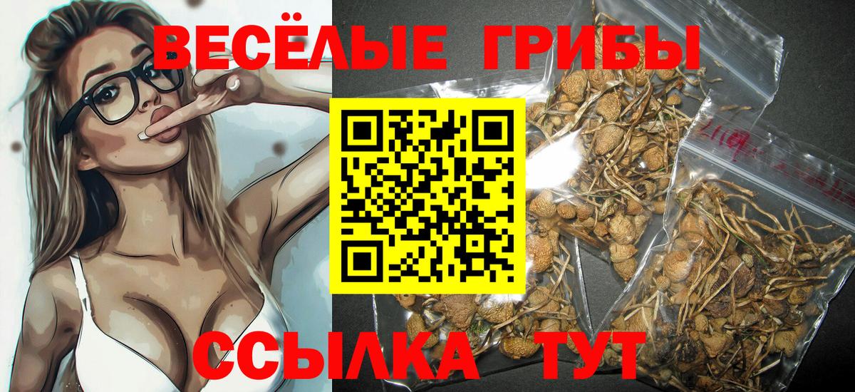 Псилоцибиновые грибы Psilocybine cubensis Нурлат