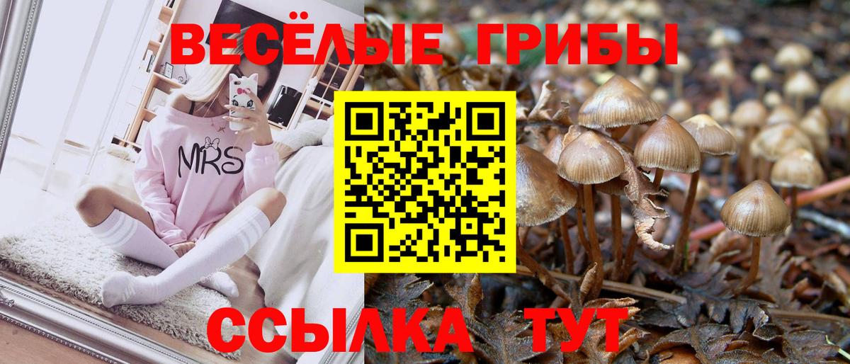 Нурлат  Галлюциногенные грибы GOLDEN TEACHER  Галлюциногенные грибы MAGIC MUSHROOMS  Вход с VPN 